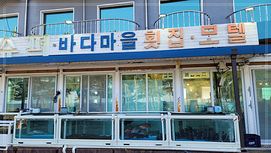 바다마을횟집 이미지