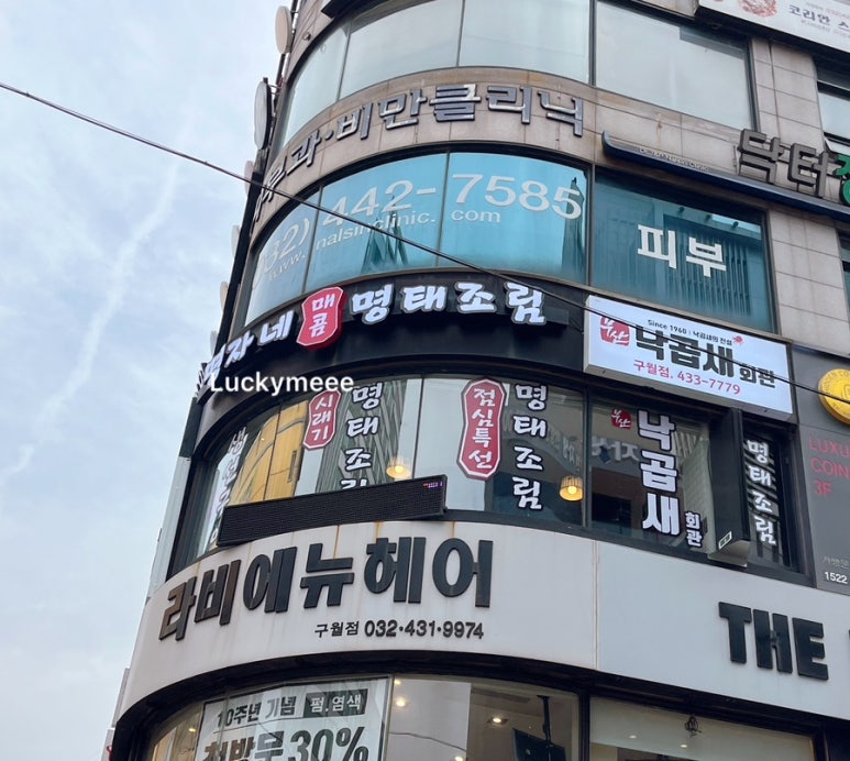 명자생선 이미지