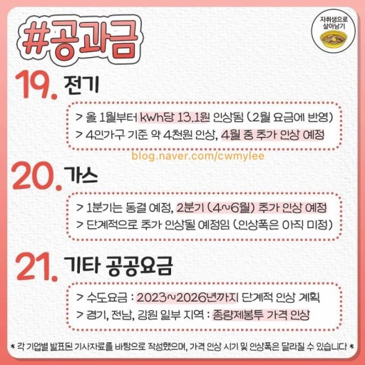 샐피 이미지