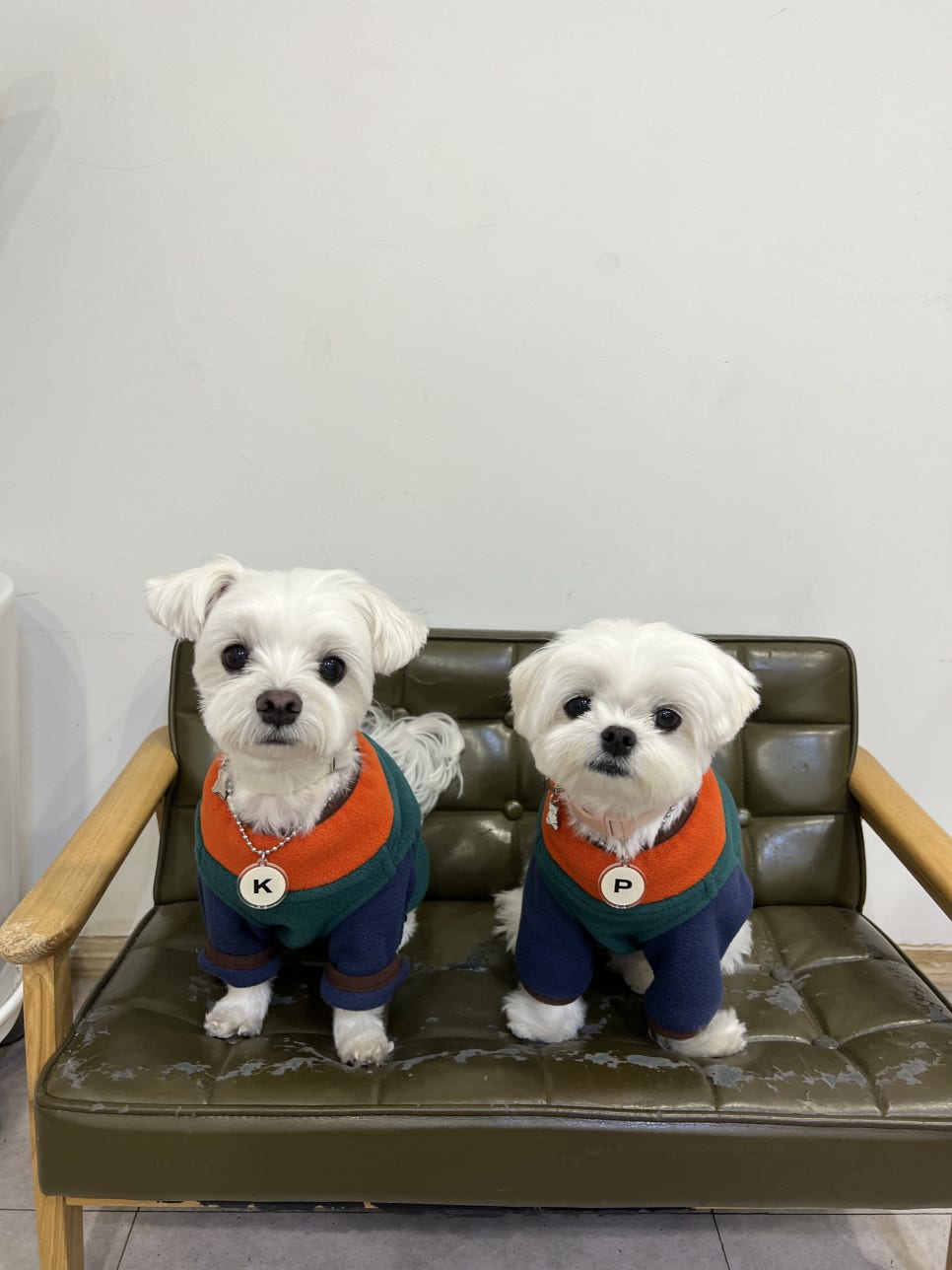 카페인스 이미지