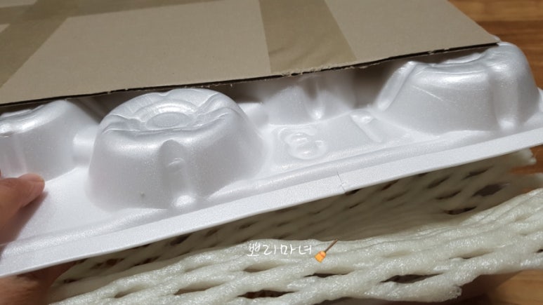 프리미어 농짱 이미지