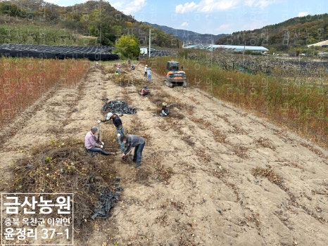 청포농원 이미지