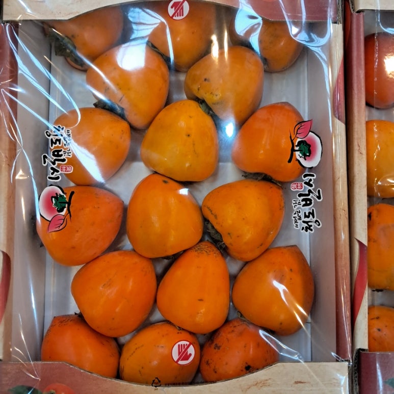 대풍상회 이미지