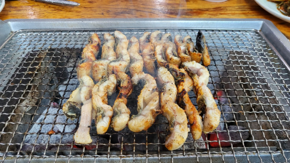 영광민물장어 이미지