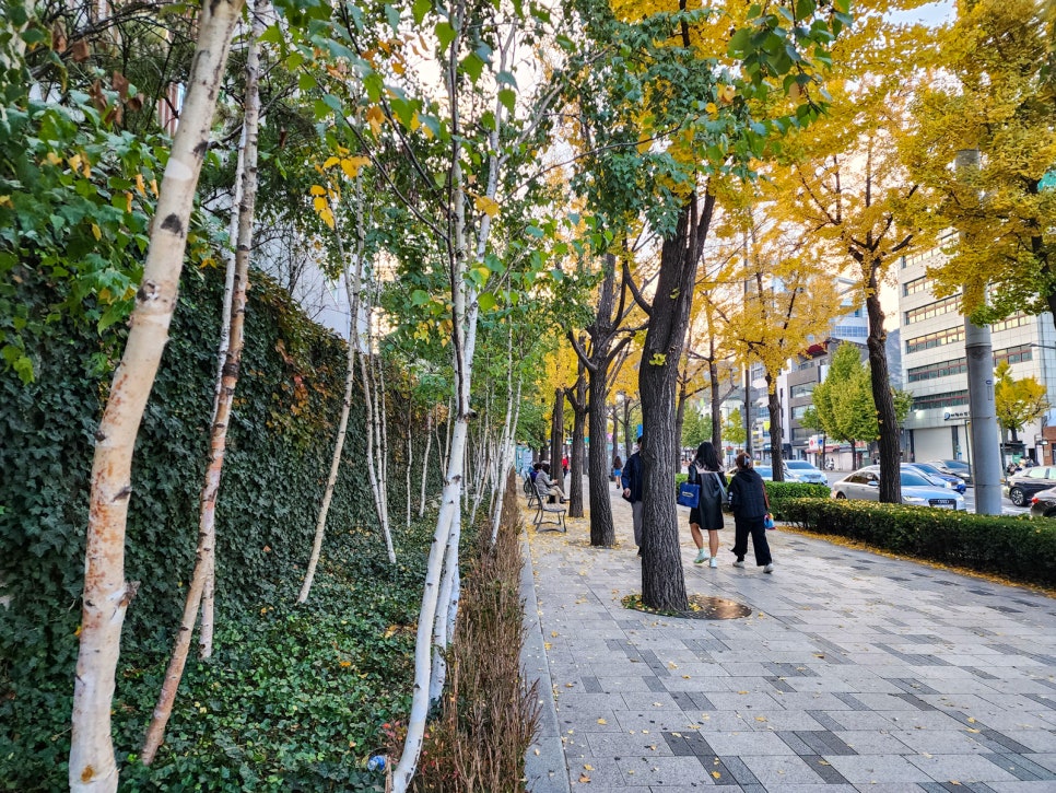 마드레빵집 이미지