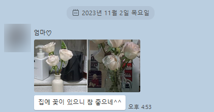 꼰띠고플로라 이미지
