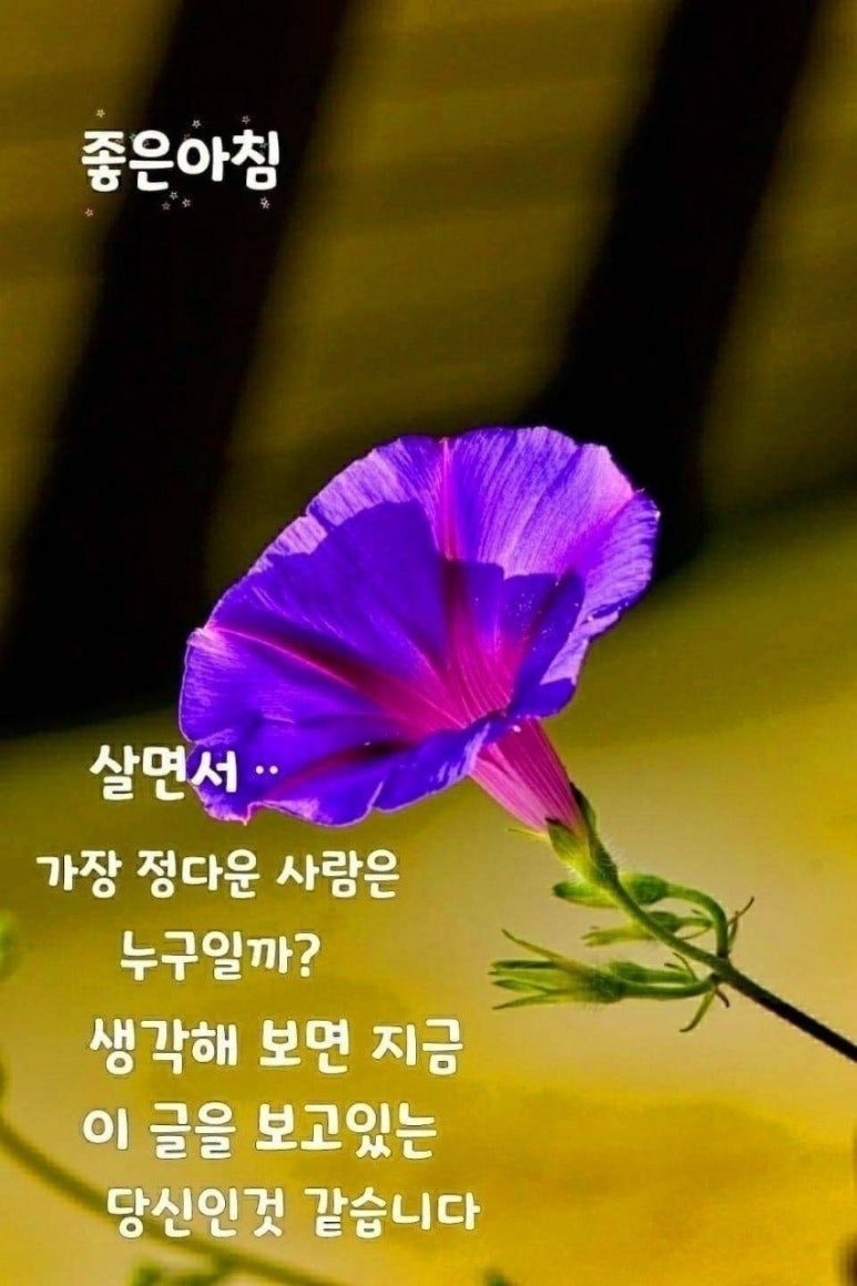 행복상사 이미지