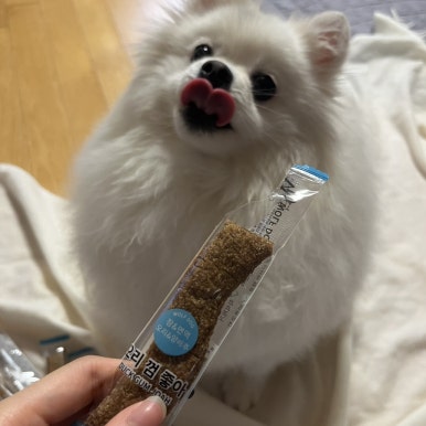 오리좋아 이미지
