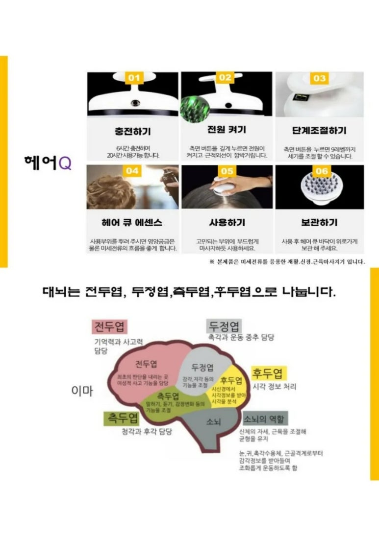 라라지니 이미지