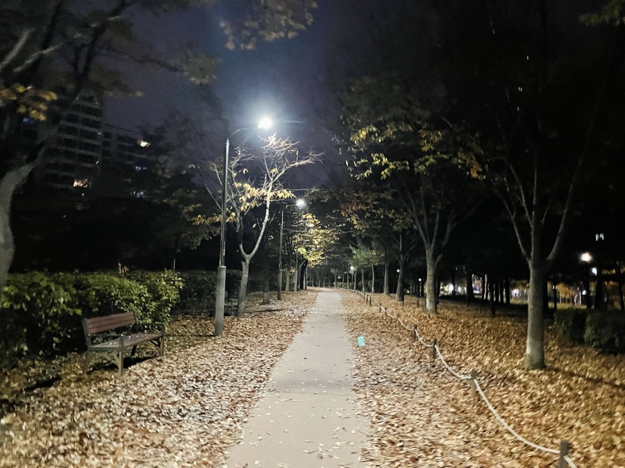 다이어메이커 이미지