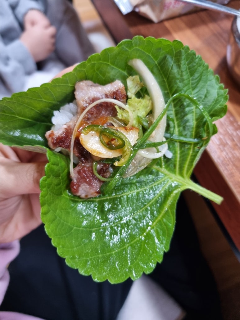 참말로육구구이 이미지