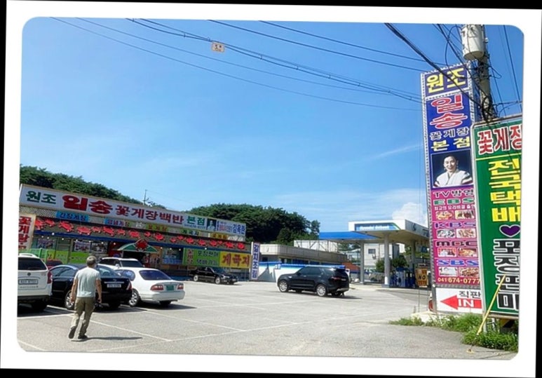 일송환경 이미지