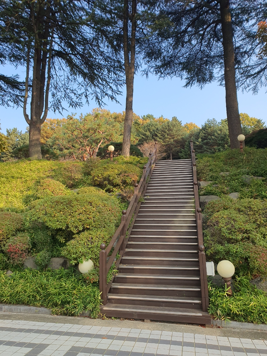 샐러데이즈대전 이미지