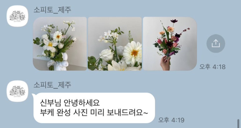 소피토제주 이미지