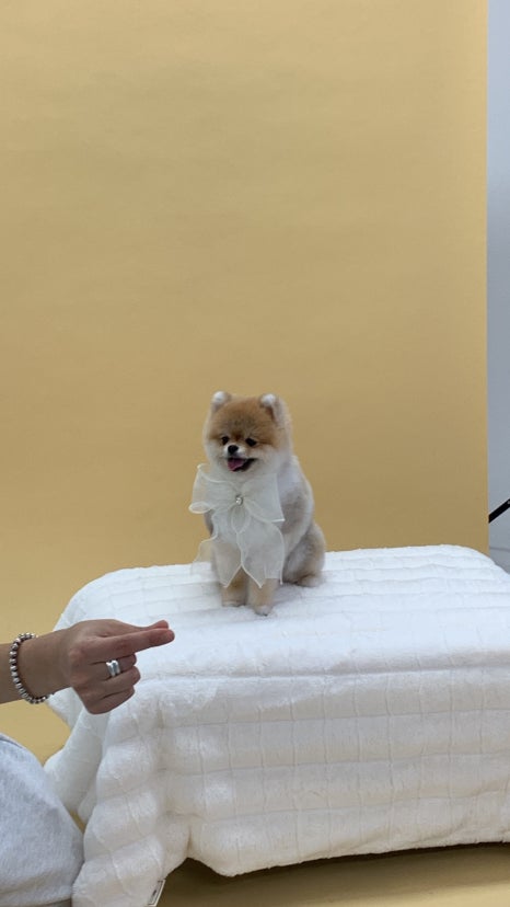 므므스튜디오 이미지
