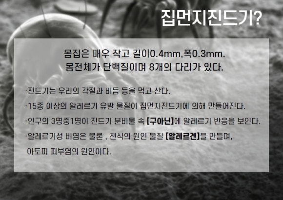 더스트제로 이미지