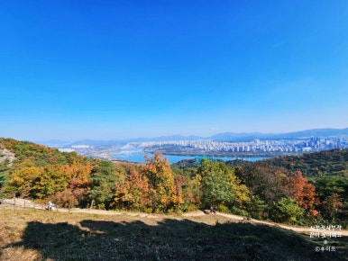 고기반햄반김치찌개 이미지