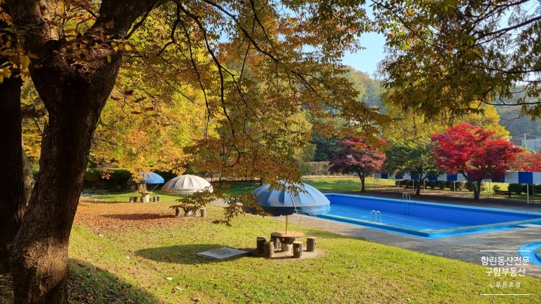 동산마트 이미지
