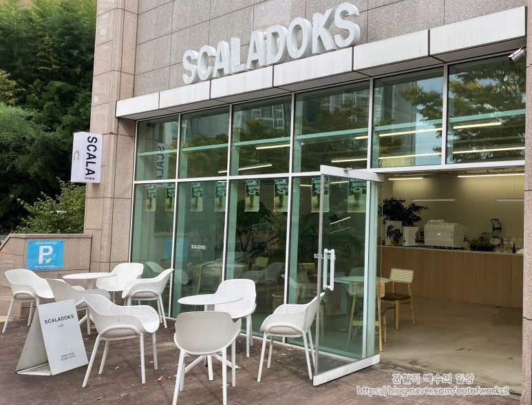 스칼라독스 이미지