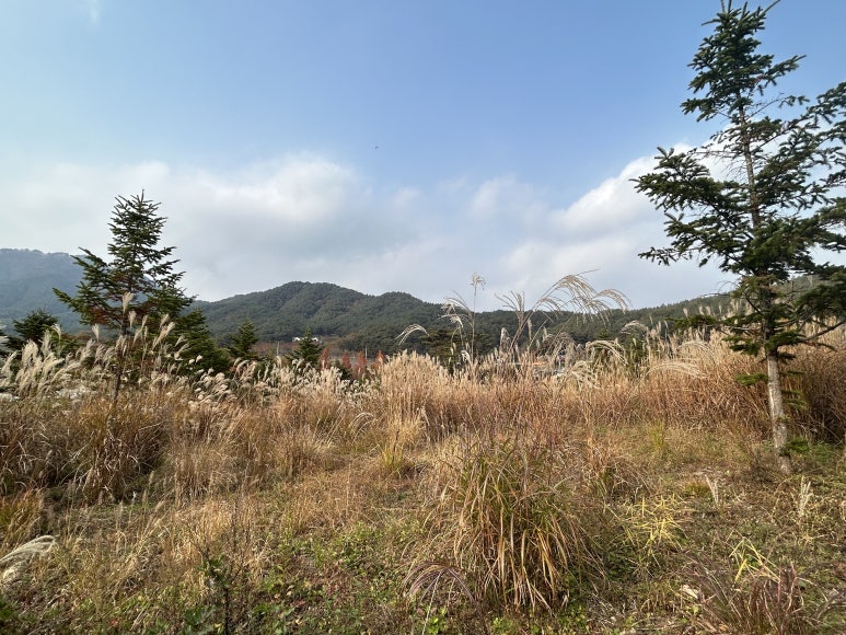 산삼약초전시장 이미지