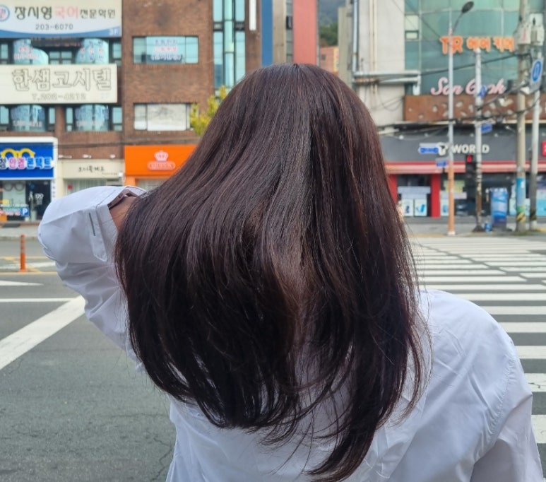 알라모드 이미지