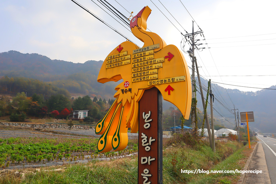 봉황마을영농조합법인 이미지