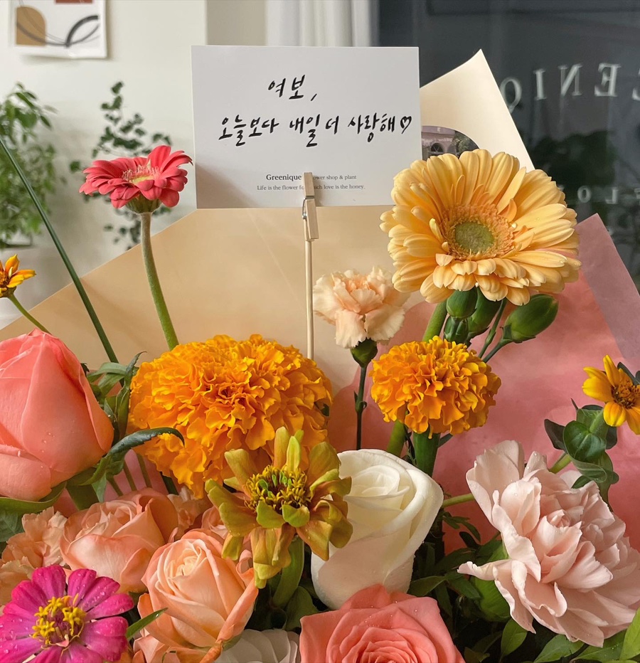 그리니크 이미지