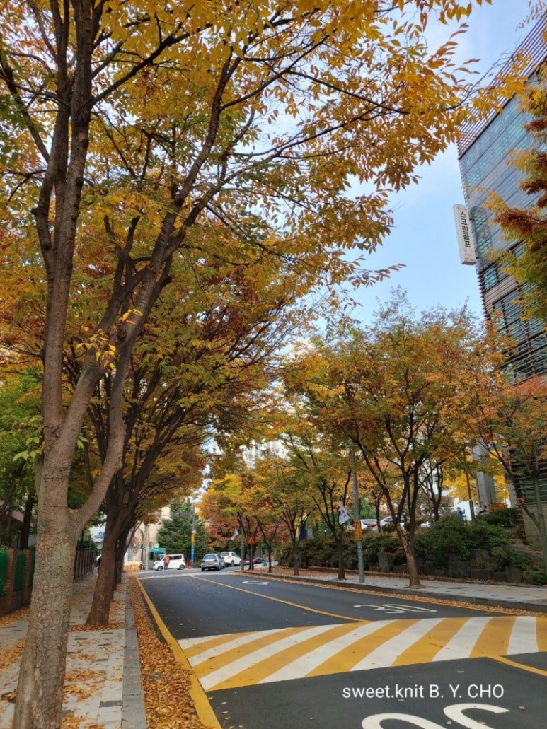 오늘참예쁘다(2) 이미지
