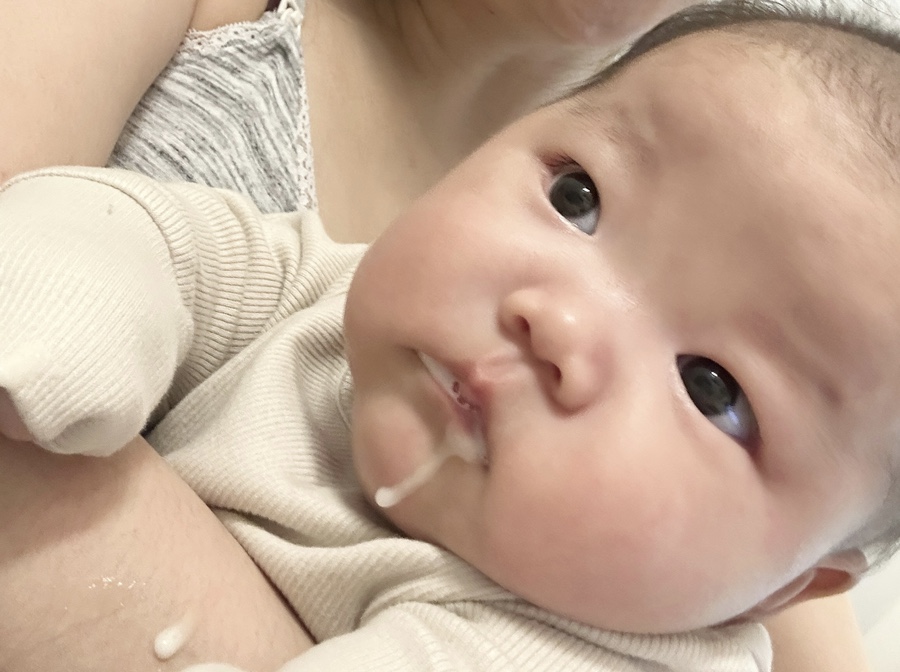 고래하누 이미지