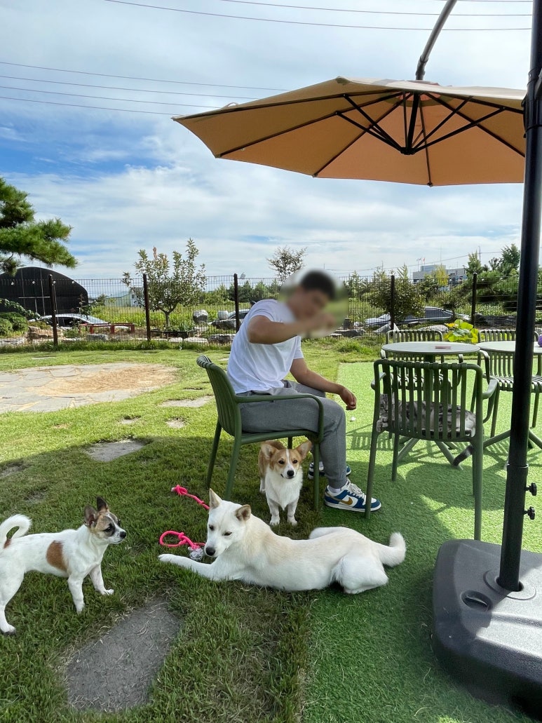 카페리브어스 이미지