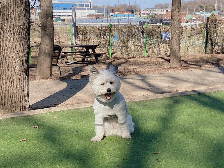 베이커리나무 이미지
