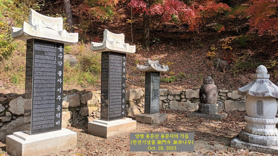 광선사 이미지