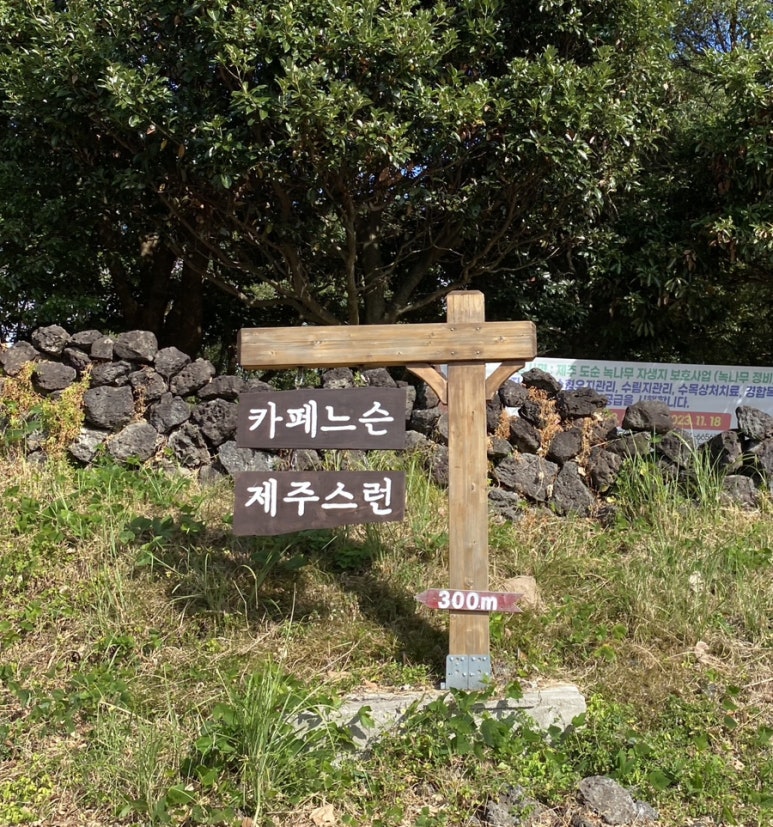 제주스런서귀포 이미지
