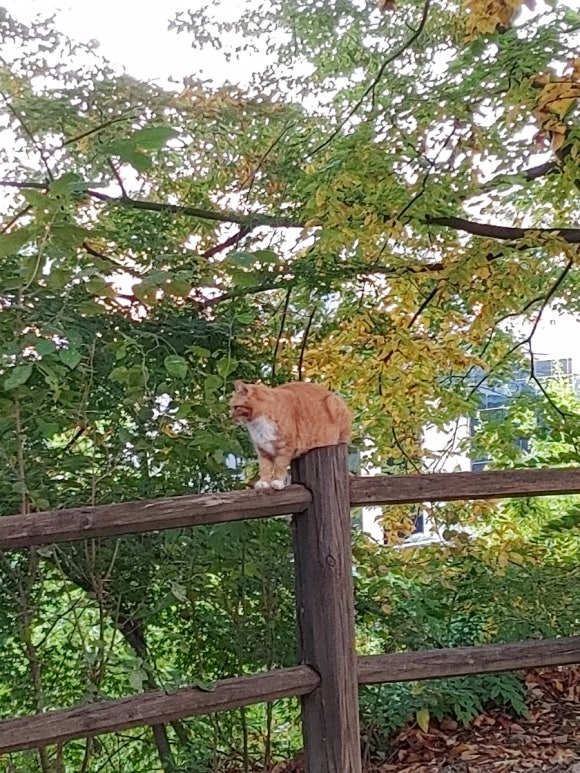 남산꽃화원 이미지