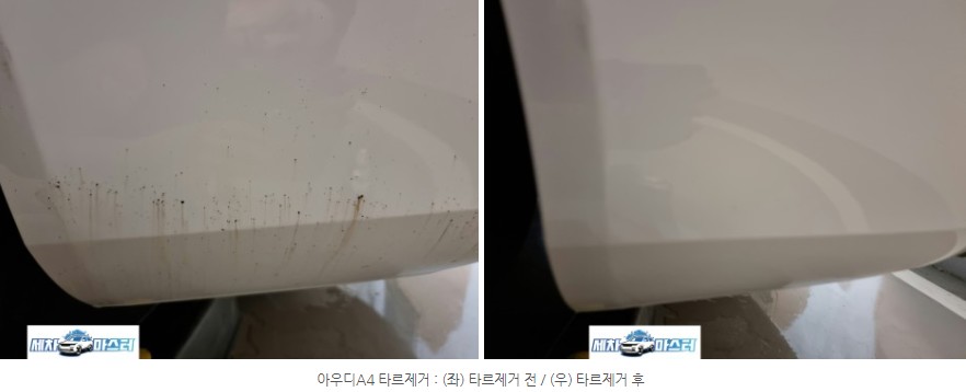 타르티 이미지