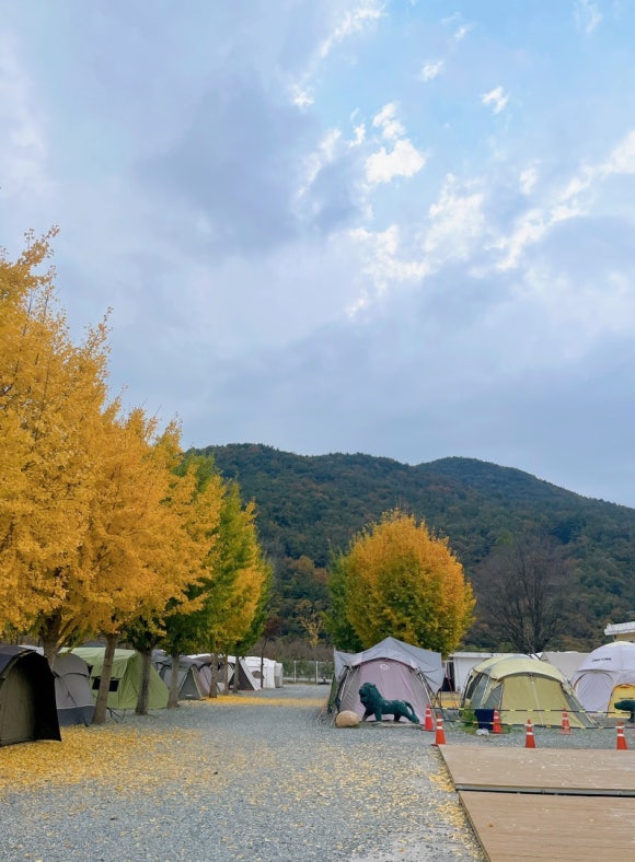 밀양도깨비방망이캠핑장 이미지