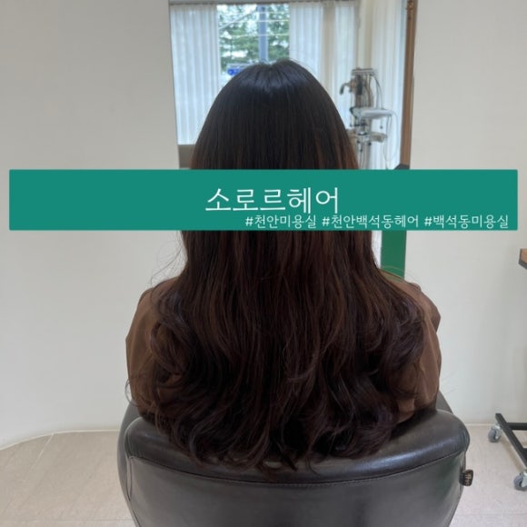소로르헤어 이미지