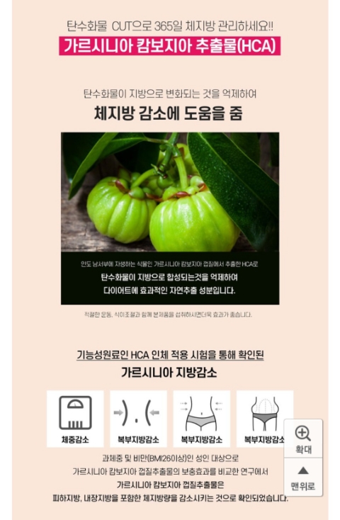 정답은꽃 이미지