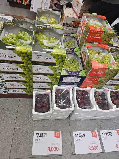 오늘야채오늘과일 이미지