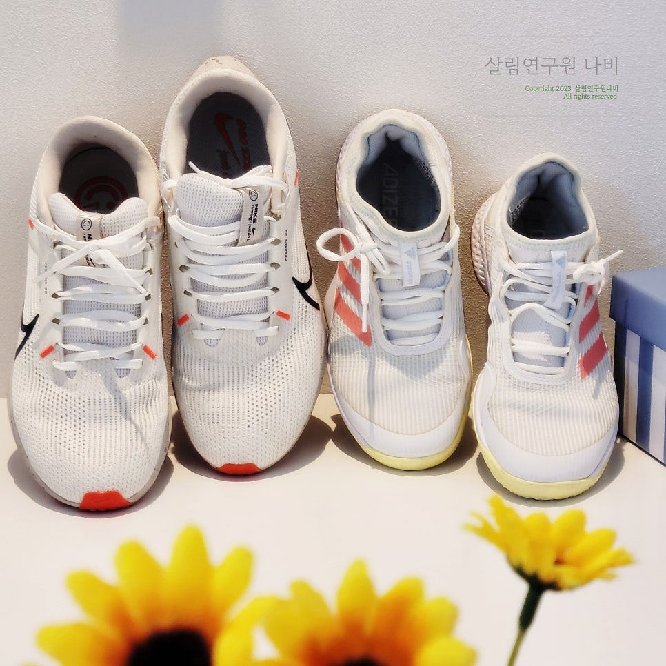 운동화빠는집 이미지