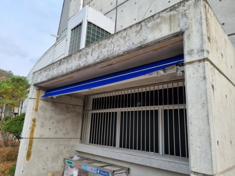 홍천군체육회 이미지