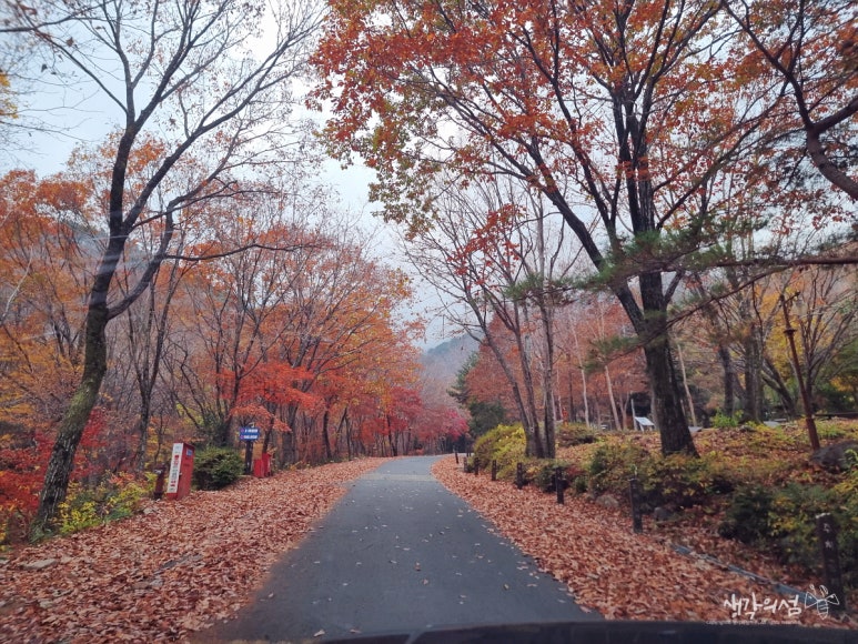 국립운문산자연휴양림 야영장 이미지