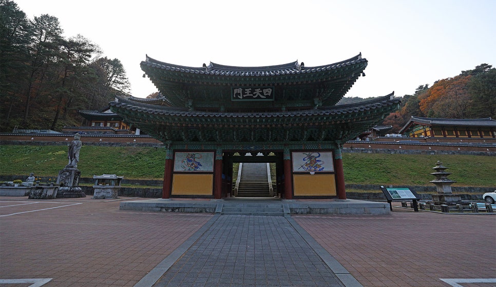 구룡상회 이미지