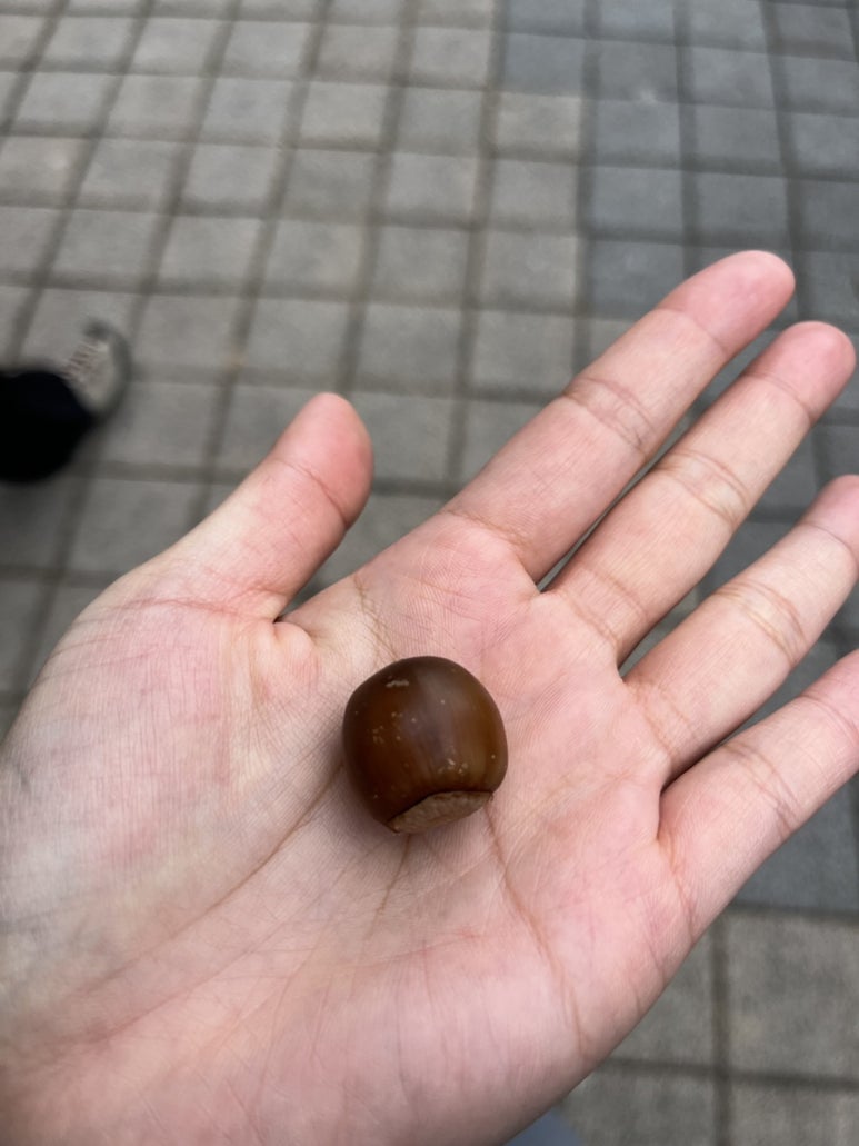 만암농장 이미지
