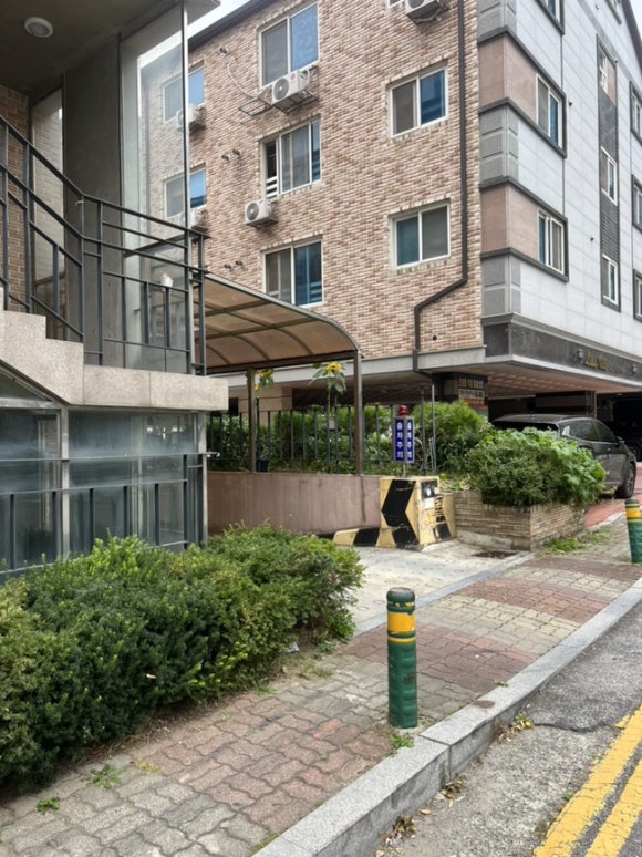 소로르헤어 이미지