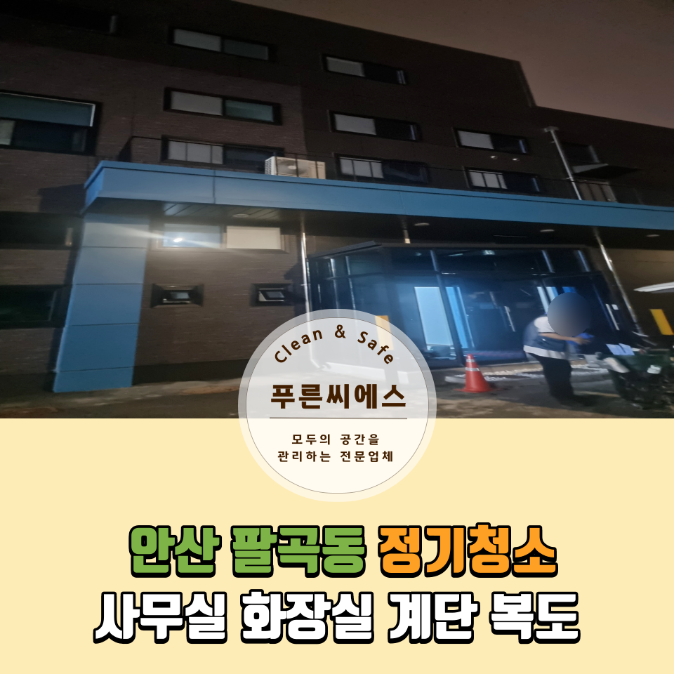 푸른씨에스 이미지