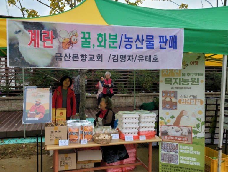 부성계란 이미지