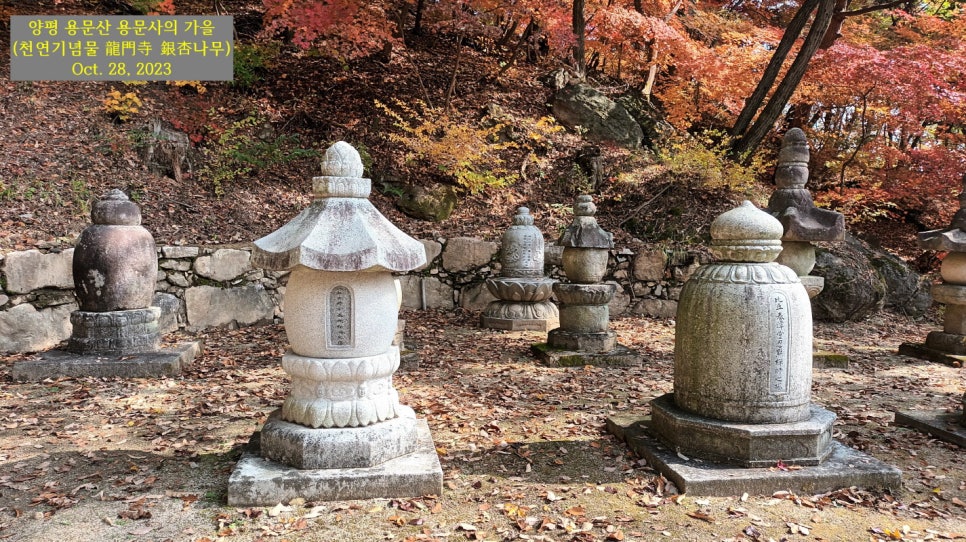 광선사 이미지