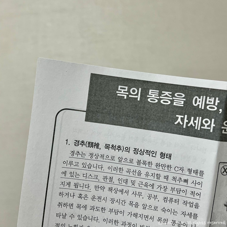 노아정형외과의원 이미지