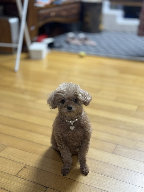 누가가정의학과의원 이미지
